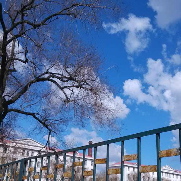 旅游烹饪学院“我爱商大”手机摄影大赛圆满结束