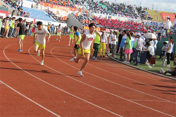 旅游烹饪学院在校运动中再创佳绩